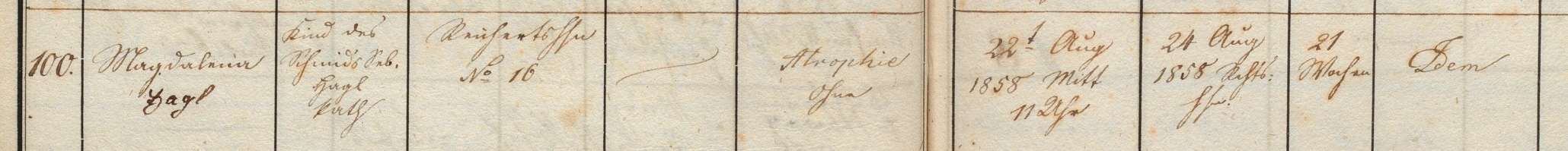 Klicken Sie zuerst in den Kreismittelpunkt, dann an irgendeiner Stelle auf den Kreis selbst.